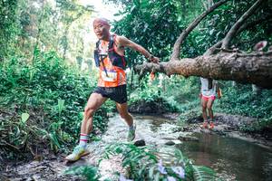 BIB: 
                            <button type="button" onclick="openModal(25430721)" class="btn btn-primary btn-sm float-right btn-popup" data-toggle="modal" data-target=".modal-high-quality">
                        <i class="fas fa-shopping-cart"></i> Add to Cart
                    </button>
                                            <button type="button" onclick="isThisMe(25430721, true)" class="btn btn-success btn-sm float-right btn-popup btn-isme hidden" data-toggle="tooltip" data-placement="bottom" title="นี่คือรูปของคุณใช่ไหม คลิกที่นี่เพื่อเอาเข้าอัลบั้ม">
                        <i class="fas fa-plus"></i> Add to album
                    </button>
                    <button type="button" onclick="isThisMe(25430721, false)" class="btn btn-warning btn-sm float-right btn-popup btn-isnotme hidden">
                        <i class="fas fa-ban"></i> Remove from album
                    </button>